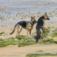 en la playa jugando